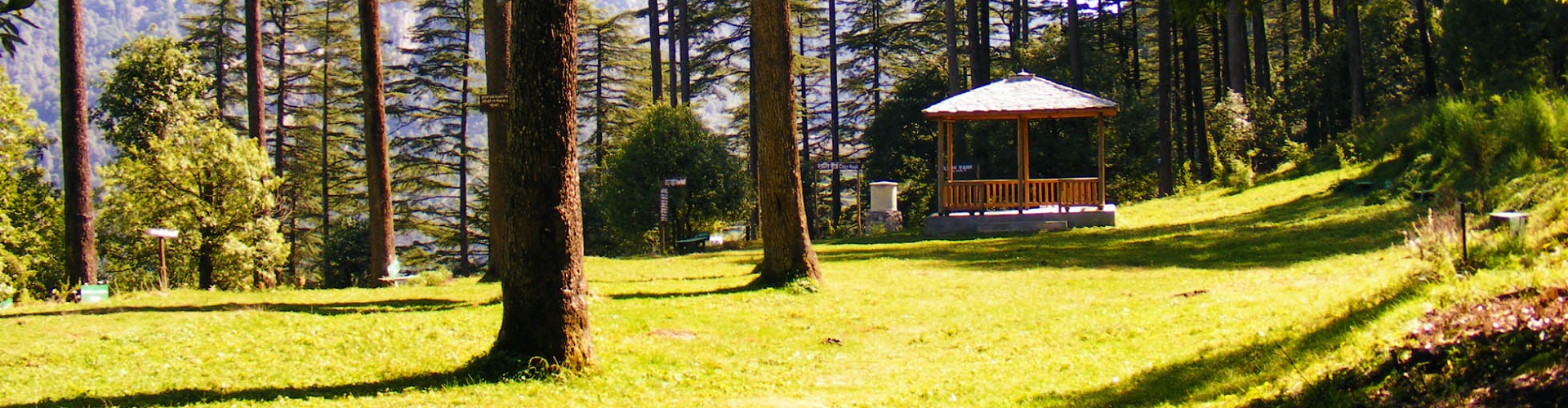 Dhanaulti