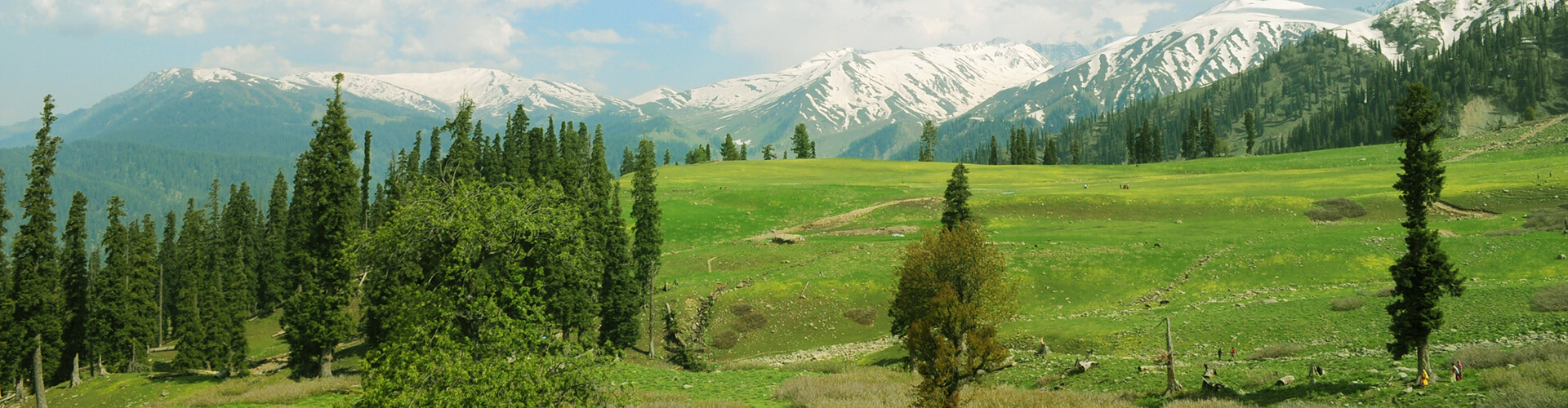 Gulmarg